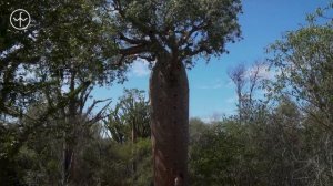 Travel Guide to Madagascar