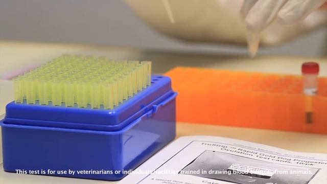 TruStrip Rapid Gold Progesterone Test for Ovulation In Dogs, Cows and Horses смотреть онлайн