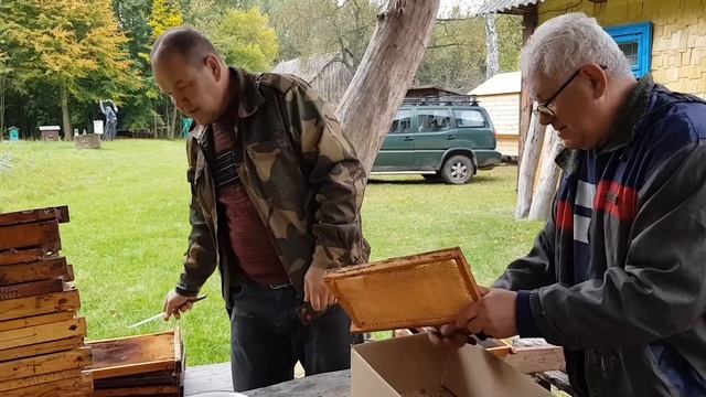 РАМКИ, КРОЛИКИ И ТУИ . смотреть онлайн
