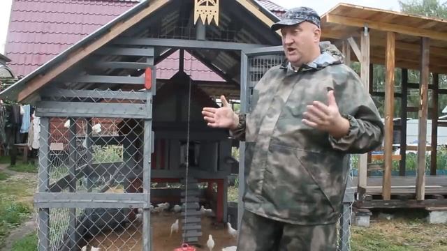 БЕЛКОВОЕ РАСТЕНИЕ ДЛЯ ЦЫПЛЯТ. смотреть онлайн