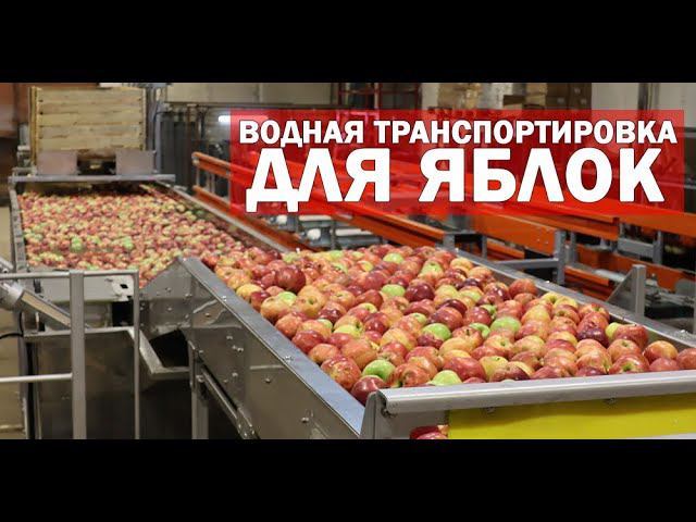 Водные каналы для яблок (видео) смотреть онлайн