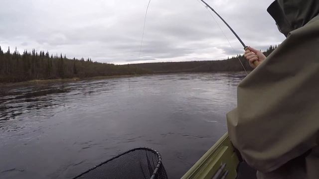 Ponoi river 2018 ЛОВЛЯ СЕМГИ НАХЛЫСТОМ смотреть онлайн
