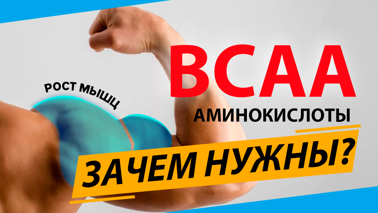 Всё о БЦАА. Как принимать BCAA, польза и свойства смотреть онлайн