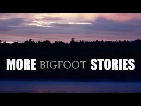 'More Bigfoot Stories' | Paranormal Stories