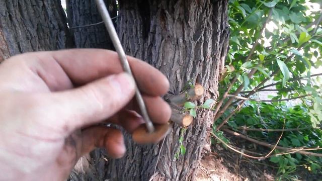 Груша из покрышки смотреть онлайн