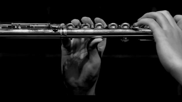 N.Paganini-Caprice No.24 for Flute смотреть онлайн