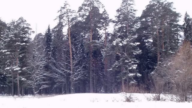 Виктор Давидзон - Белый снег смотреть онлайн