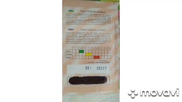 семена помидор устойчивых к фитофторе смотреть онлайн