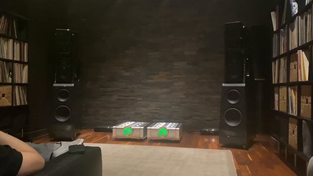 Dan D’Agostino Relentless 800 Monoblock Amps powering Wilson Audio Chronosonic XVX Speakers смотреть онлайн