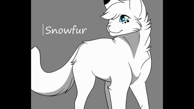 Top 12 most cruel warrior cats deaths смотреть онлайн