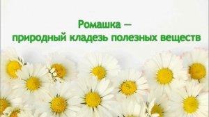 Лечение цистита народными средствами