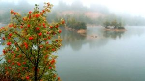 Казачьи песни -Ты прости меня родная, Калинушка