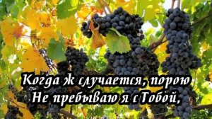 Ксения Лапицкая - Когда в Твои слова вникаю