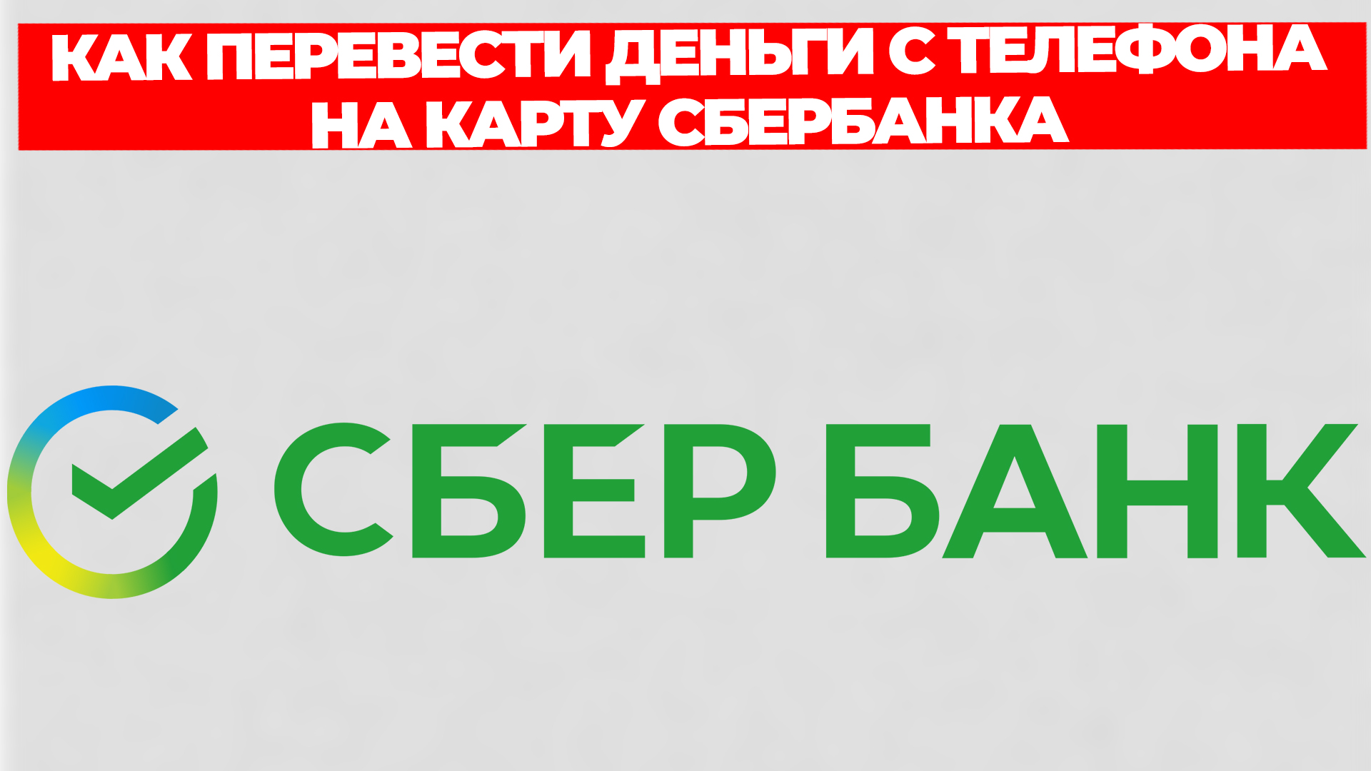 Всезнающий Енот