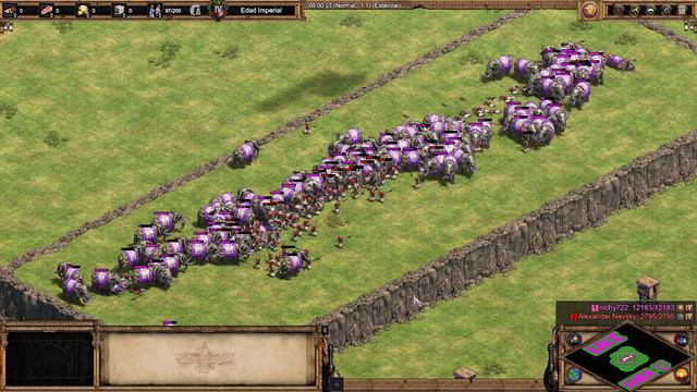 120 ELITE WAR ELEPHANT vs 280 HALBERDIER | BATALLAS AGE OF EMPIRES 2: DEFINTIVE EDITION AOE2 TOP смотреть онлайн