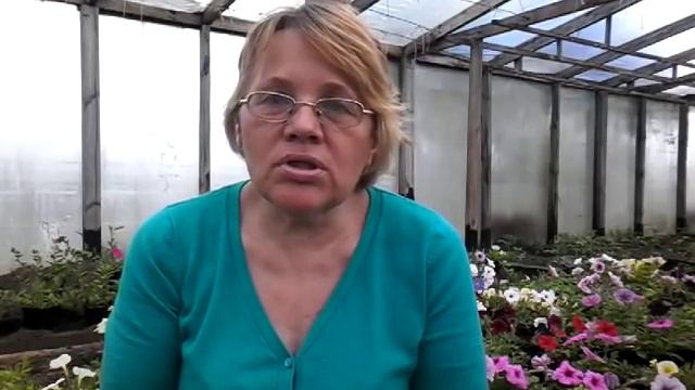 Колхозники не умеют отдыхать!Долой работу,хочу на море! смотреть онлайн