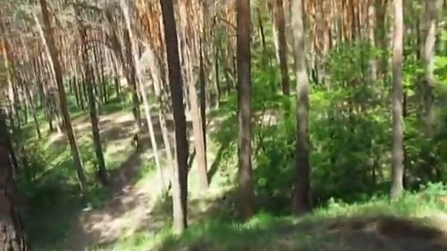 прогулки в стиле эндуро смотреть онлайн