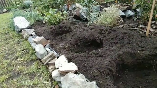 ЧЕМ ЗАНЯТЬСЯ ОСЕНЬЮ В САДУ? Пересаживаю многолетники и готовлю место для новеньких розочек! смотреть онлайн