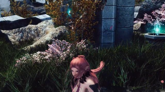 Skyrim: [COCO] FlyinDance (Customized) смотреть онлайн