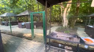 Гуамское ущелье - Уезд Елисеева обзор ?