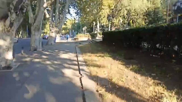 Брови вещает из Грузии смотреть онлайн