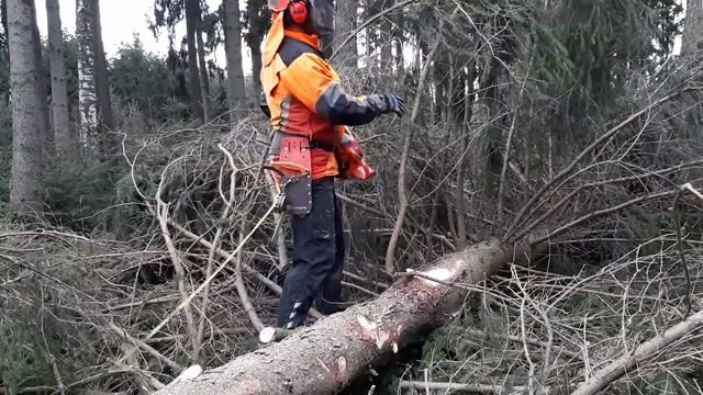 Totally blocked path through the storm, LUMBERJACK AND LOGGING смотреть онлайн