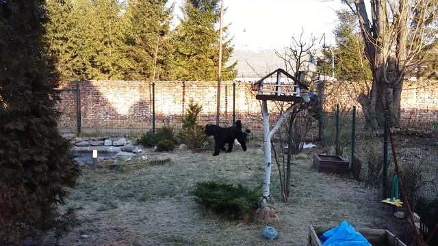 Охрана периметра смотреть онлайн