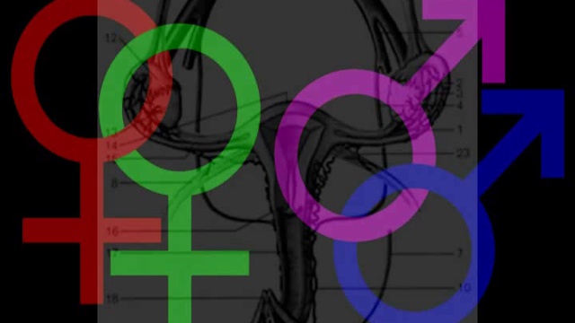 Mariage Et Adoption Des Homosexuels - LLP