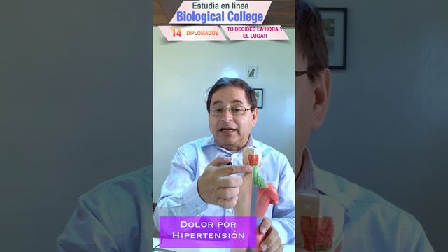 Dolor de Cabeza por estrés e Hipertensión смотреть онлайн