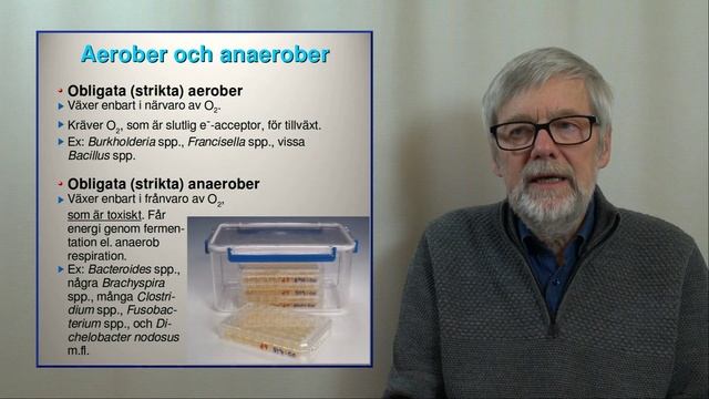 Metabolism, Del 2 смотреть онлайн