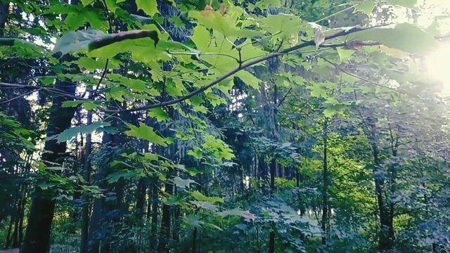Письмо о расставании #осень #расставание #монолог #любовь #письмо смотреть онлайн
