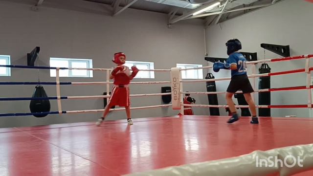 Соревнования по боксу 27 января 2024 года смотреть онлайн