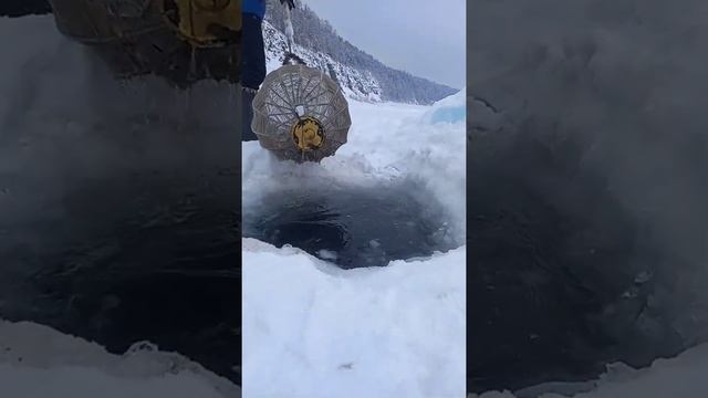 Проверка корчаги #2 смотреть онлайн