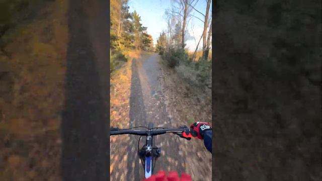 Mongoose Tyax PRO 29