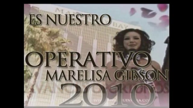 Operativo Marelisa Gibson 2010 !! смотреть онлайн