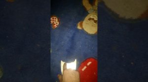 Наличник на арку. Арочный молдинг.