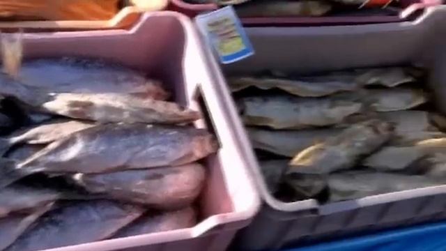 Зимняя рыбалка на Байкале. смотреть онлайн