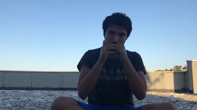 Yüzüklerin Efendisi- Mızıka (Lord of the Rings-C Harmonica) смотреть онлайн