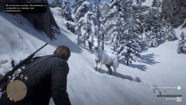 САМАЯ БЫСТРАЯ ЛОШАДЬ/КАК НАЙТИ АРАБСКОГО СКАКУНА В Red Dead Redemption 2 #гайд смотреть онлайн