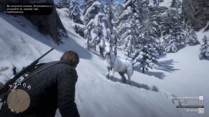 САМАЯ БЫСТРАЯ ЛОШАДЬ/КАК НАЙТИ АРАБСКОГО СКАКУНА В Red Dead Redemption 2 #гайд