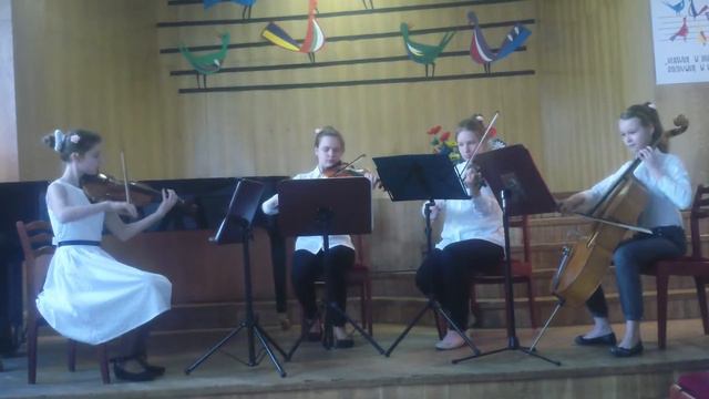 SUPER MARIO BROS - String Quartet смотреть онлайн