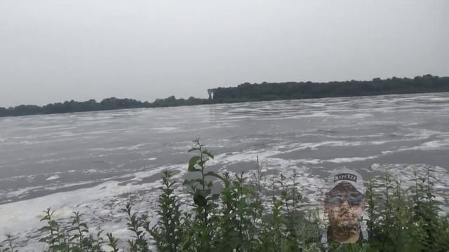 Что случилось с рекой? Почему она вся в пене? смотреть онлайн