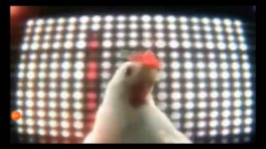 песня про курицу аххахахахахахахха