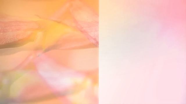 Рецепты веганской кухни