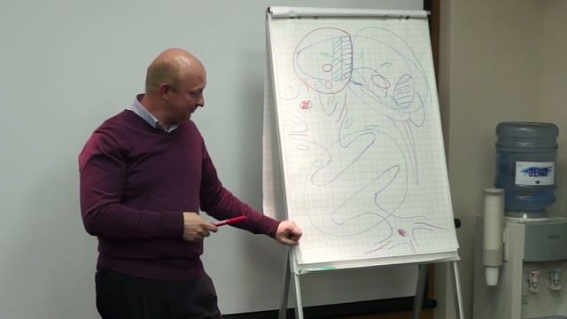 Анатомия центральной нервной системы. Как работает головной мозг? врач-психиатр Антон Сабанцев