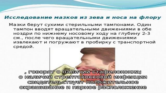 Особенности изучения мазка из зева и носа на стафилококк смотреть онлайн