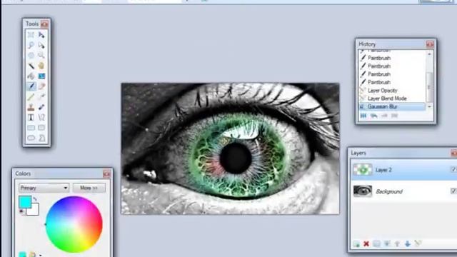 Paint.Net - How To Add Color To ONE Item In A Black And White Image