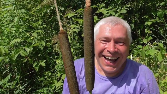 -у меня камыш... мем, камыш смотреть онлайн