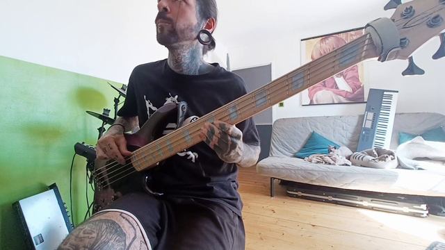 Metronomy - The Bay (BASS Cover) смотреть онлайн