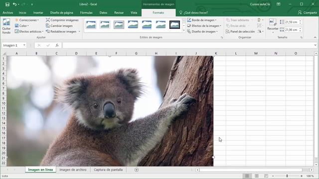 Curso de Excel 2016. 13.1. Insertar imágenes. смотреть онлайн